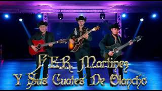 cantina de mi barrio fer martinez y sus cuates