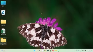 Autotyper for form filling | Auto Filler Software
