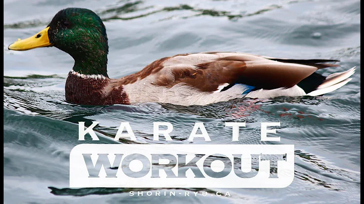 45 Minute Karate Workout - Oct 9 2021