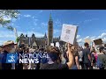 Ottawa march in support of protests taking place in wake George Floyd’s death | APTN News