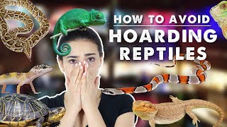 Let's Talk About Reptile Hoarding...and how to avoid it 😬