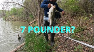 HUGE BASS and More Cappie!|Granger Lake