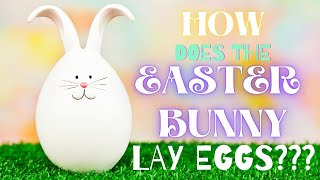 Exclusive Why Does the Easter Bunny Lay Eggs? 🐰🥚 The Surprising History Explained Profile