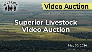 Superior Livestock Auction  Video Auction