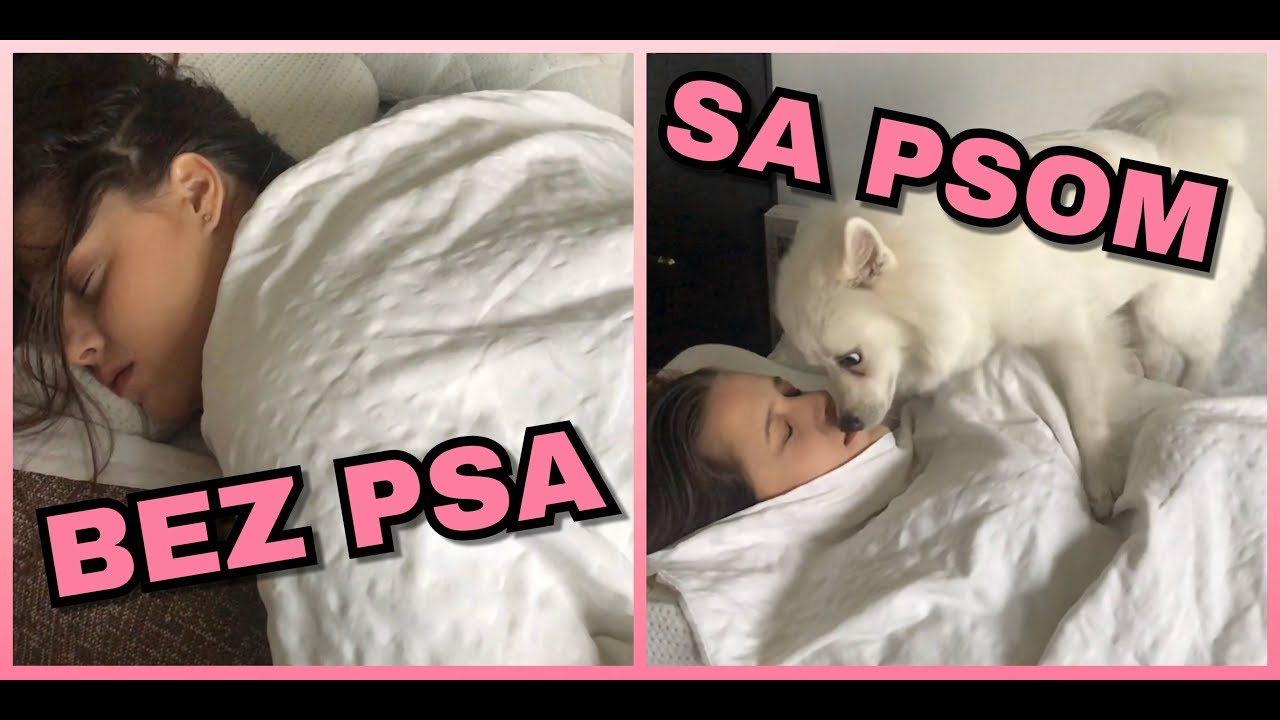 ZIVOT SA PSOM I BEZ PSA YouTube