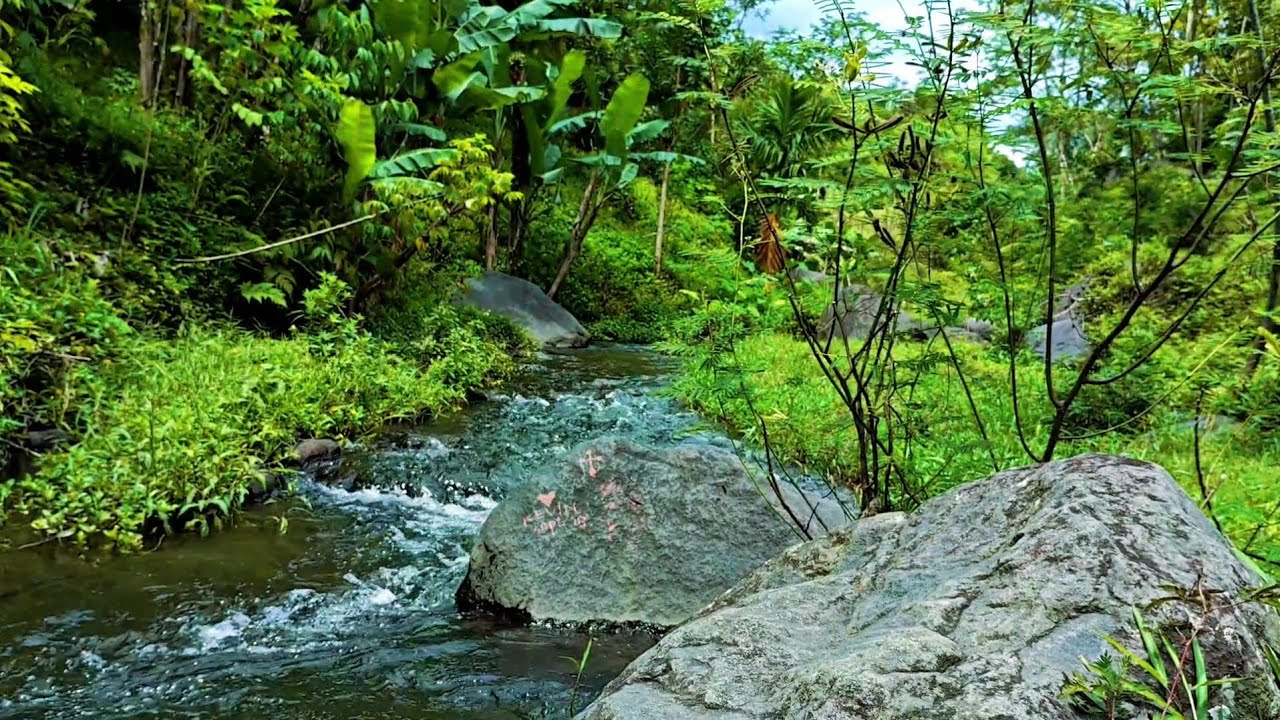 River Flow: Calm River Sounds for Relaxation,Relaxing River Ambience for Focus