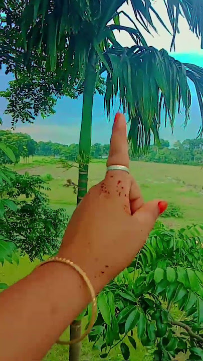 Humko Hami Se Chura Lo 🫰🥰🫶#shorts #song #hindisong #love #trinding #foryou #hand #viralsong #srk