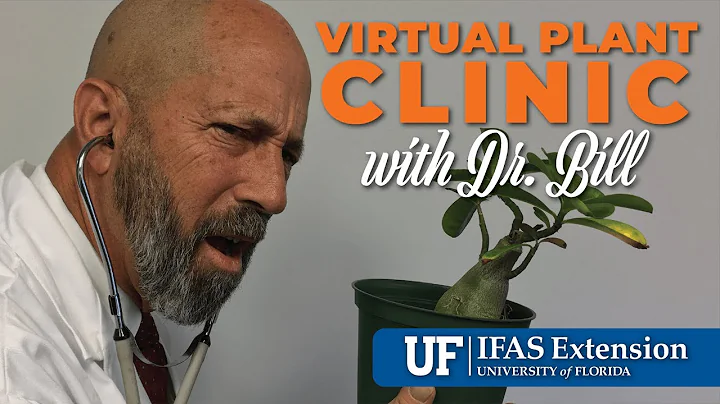 The Virtual Plant Clinic With Dr. Bill December 22...
