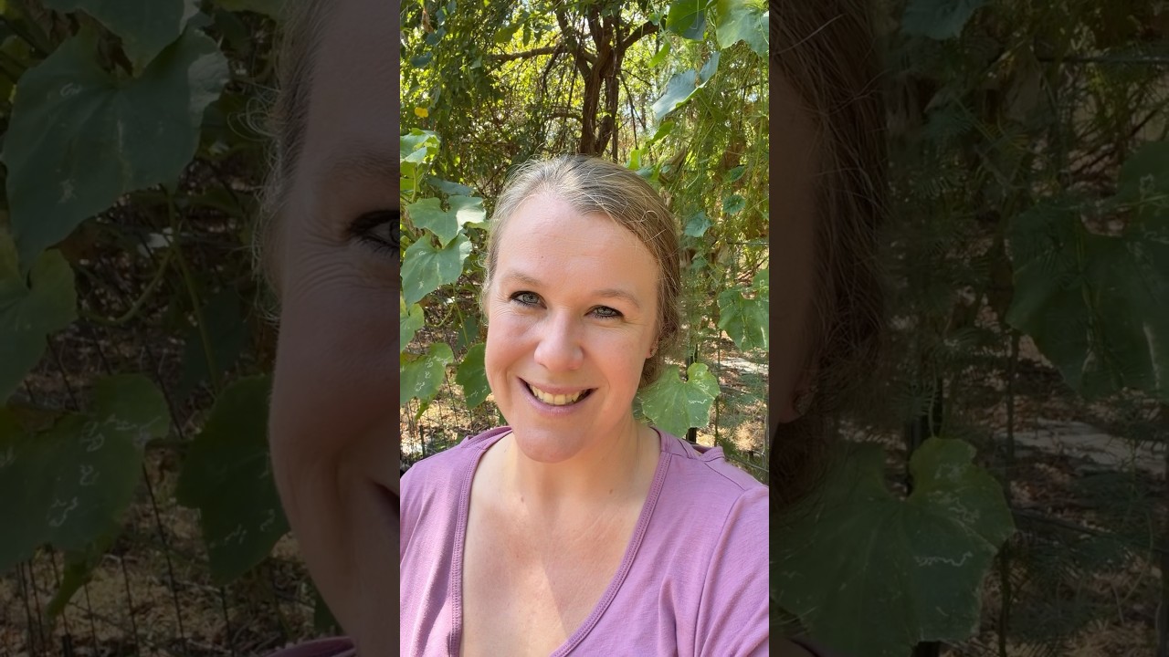 Uploads from From Seed to Spoon Garden Planning App