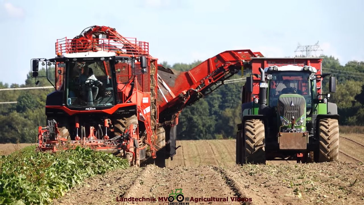 Grimme - JCB - Holmer - Fendt / Rübenernte und Verladung - Harvesting and Loading Sugar Beets