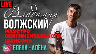 Владимир Волжский - Елена - Алена (Маэстро сентиментального шансона, Live)