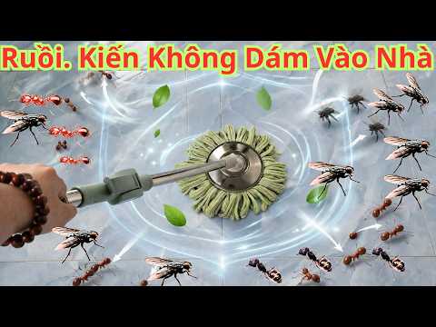 Nếu Bạn Lau Nhà Bằng Thứ Này! Ruồi.Kiến Sẽ Không Bao Giờ Dám Vào Nhà Bạn Nữa/Cách Côn Trùng Khỏi Nhà