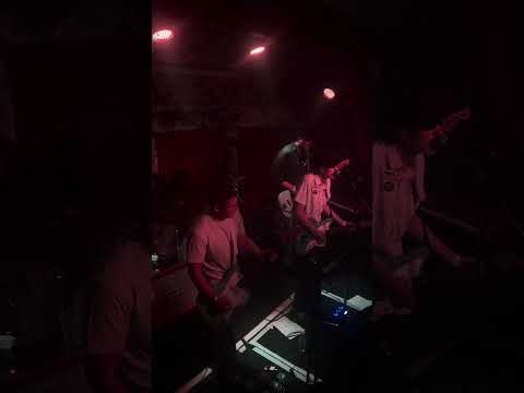 Patience - The Cove (Live From Manchester Deaf Institute) 