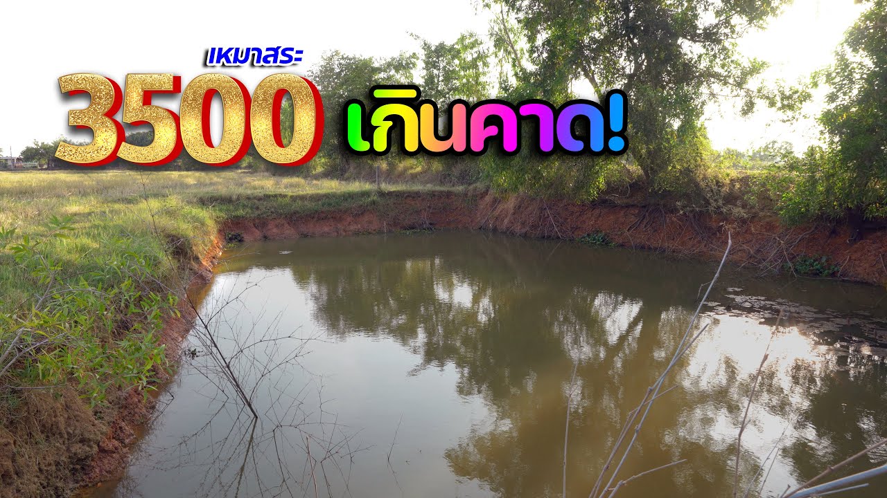 Лучшее предложение! Аренда бассейна за 3500 бат. Выглядит пустым, но превосходит ожидания. Аренда...