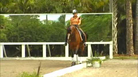 Nancy Later, Tutorial on the walk, Getting the wal...