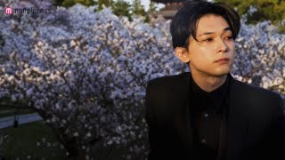 吉沢亮、雪と戯れる姿から桜に囲まれた美しい姿まで…デビュー15周年記念写真集「Profile」メイキング&インタビュー