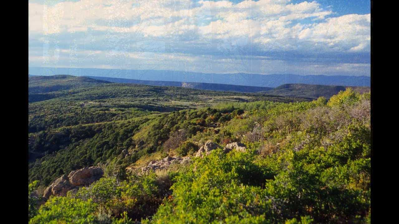 Canyon Ranch Of The Gunnison -- Main Show - YouTube