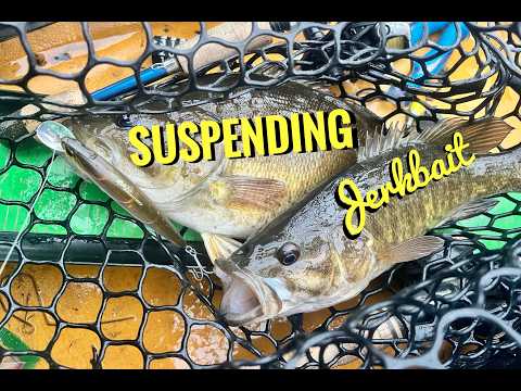 Potomac River Smallmouth Tributary Tagging 3 15 2026