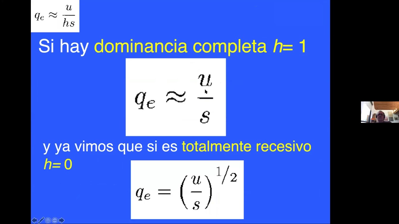 Clase 15 Deriva Genética I