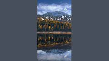 سورة النساء الآيات { ٢٧ - ٢٨}#المصحف #quran #اكسبلور #دويتو #islamicfestival #حالات_واتس #islamichol