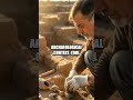 Silent Archives and Open Minds Critical Look at Declassified Anomalies