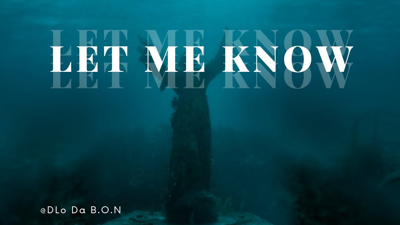 D-Lo Da B.O.N Let Me Know 