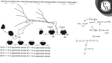 Identify \( \mathrm{A} \) and \( \mathrm{B} \) bonds in the followi...