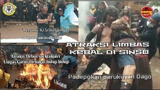 Kolaborasi seni budaya Dayak ,Sunda - Seni Debus spectacular l bikin heboh dan geger penongton