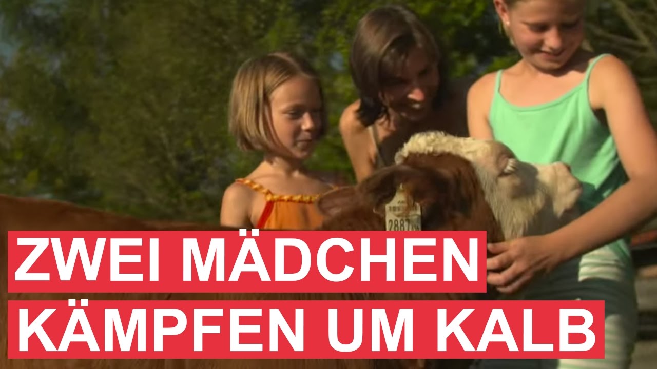 Zwei junge Aiderbichlerinnen kämpfen um Kalb Kathi