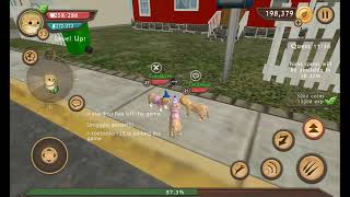 Playing cat sim online with my cat sim best friend (December❤️)