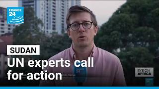 UN experts urge Sudan-wide arms embargo • FRANCE 24 English