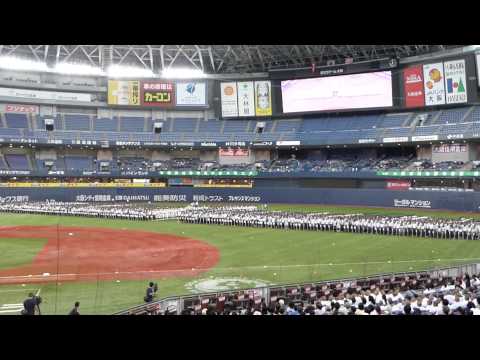 第97回全国高校野球大阪大会開会式180チーム整列行進