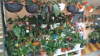 Mis Anturios por Fin se ven más Organizados Y mi JARDIN Lucirá Mejor 🥰💚🧑‍🌾
