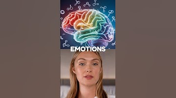 I Asked 5 Neuroscientists About EMOTIONS Here