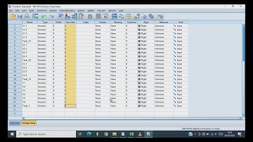 TUGAS BESAR 1 STATISTIK BISNIS || TABULASI DATA PRIMER MENGGUNAKAN MICROSOFT EXCEL DAN PROGRAM SPSS