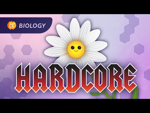 Plants Are Hardcore: Plant Anatomy \u0026 Physiology: Crash Course Biology #42