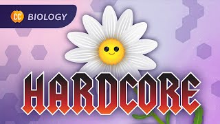 Plants Are Hardcore: Plant Anatomy &amp; Physiology: Crash Course Biology #42