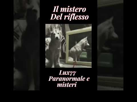 il mistero del
