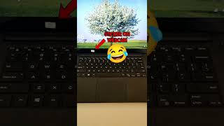 Find Out Your Computers Stats!