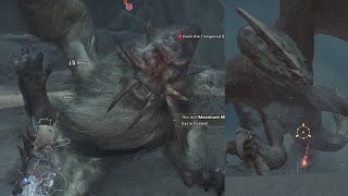 Decorations for the Avid Hunter | Monster Hunter Wilds