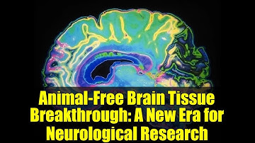 Animal-Free Brain Tissue Breakthrough: A New Era for Neurological Research