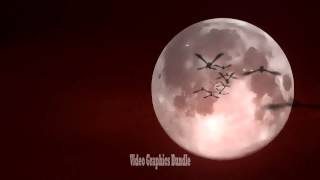scary bats fly on full moon