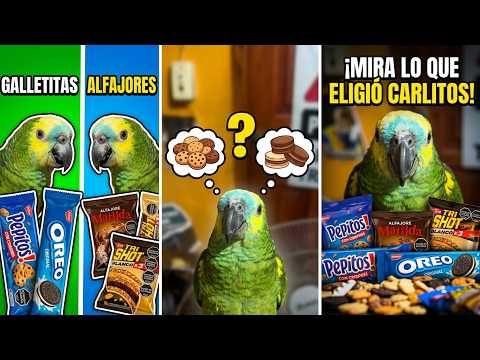 Carlitos chooses between cookies or alfajores