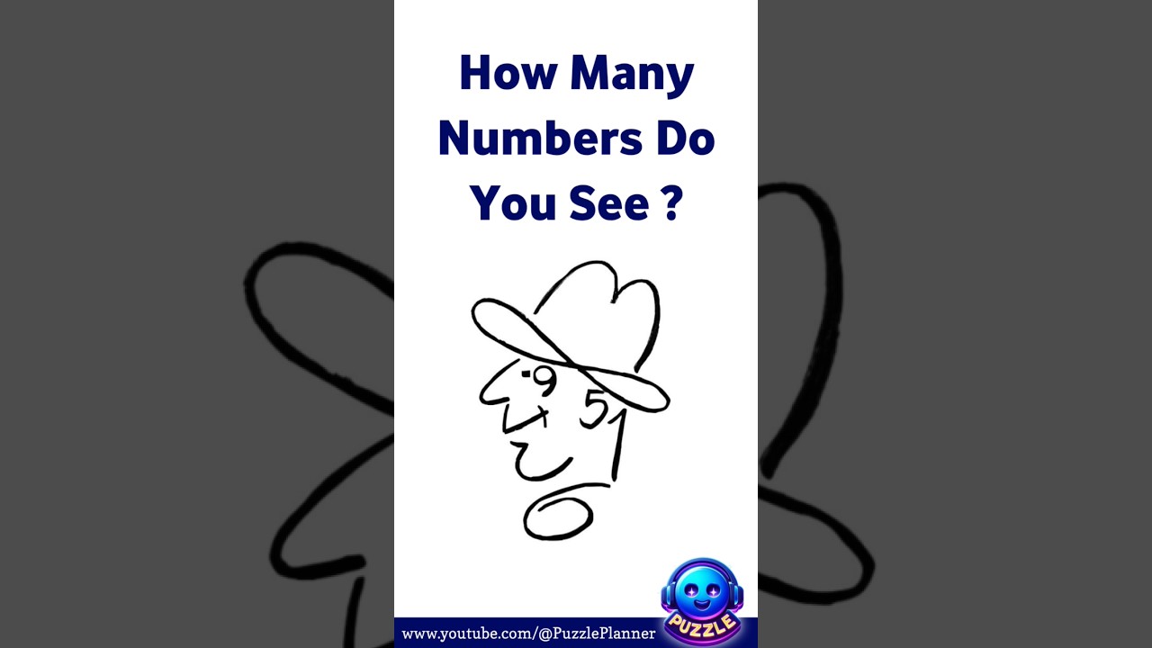 How Many Numbers Do You See 🙈 | Picture Puzzle