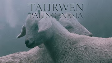 TAURWEN - Palingenesia (2025) FULL ALBUM | Dark Folk, Dungeon Synth, Pagan, Neo-Classical
