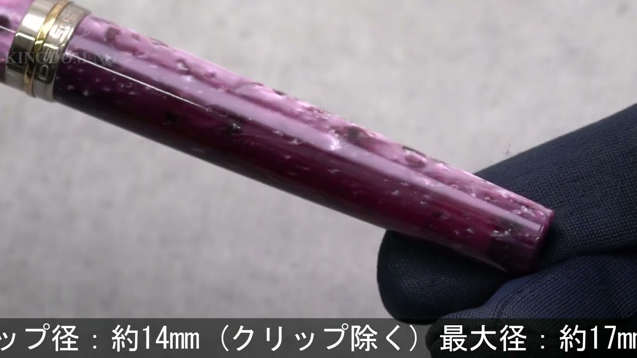 DELTA デルタ 万年筆 ビンテージコレクション パープル F - YouTube