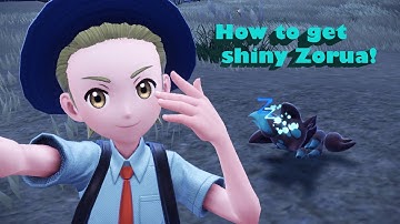 How to Shiny Hunt Zorua! (Pokémon Scarlet & Violet)