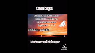 En Çok Aranan Ilahi Üzelilahiler