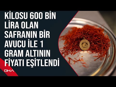 Kilosu 600 bin lira olan safranın bir avucu ile 1 gram altının fiyatı eşitlendi