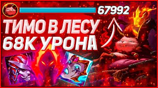 Тимо в лесу - Новый сезон | 62K DAMAGE